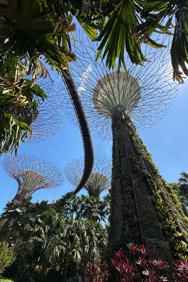 4 Best Things to Do in Singapore for First-Time&nbsp;Visitors