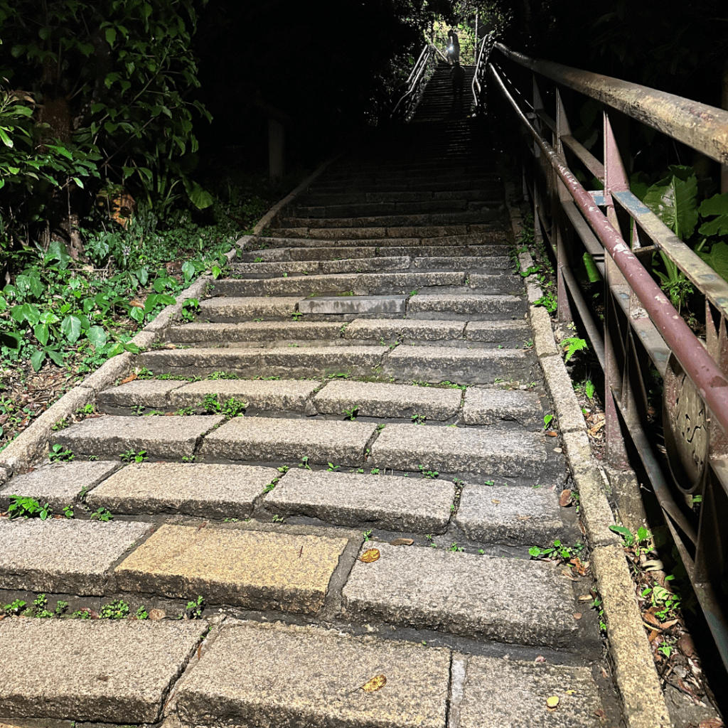 Elephant Mountain Hike Stairs