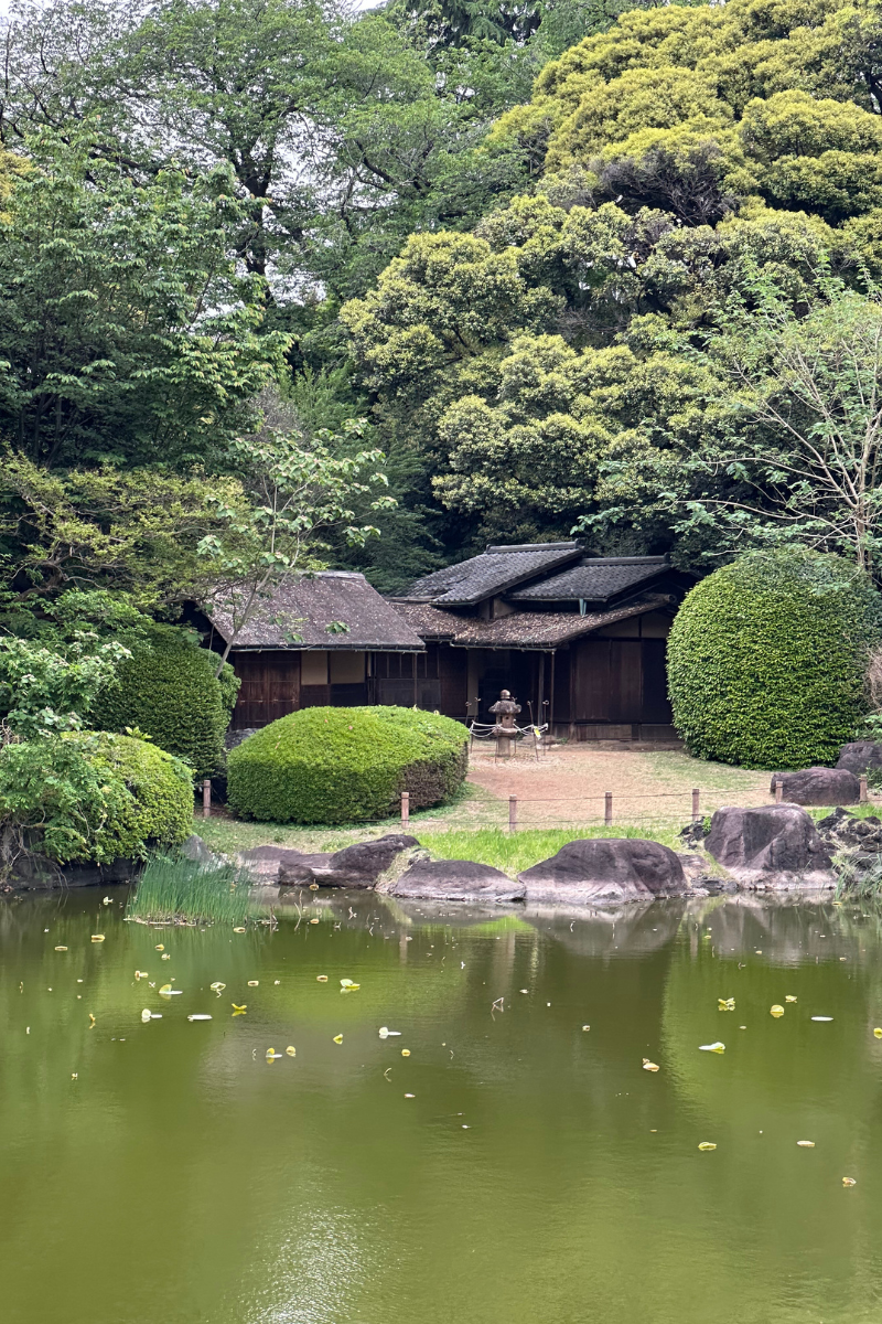 10 Japan Travel Tips: What to Know Before Your&nbsp;Trip