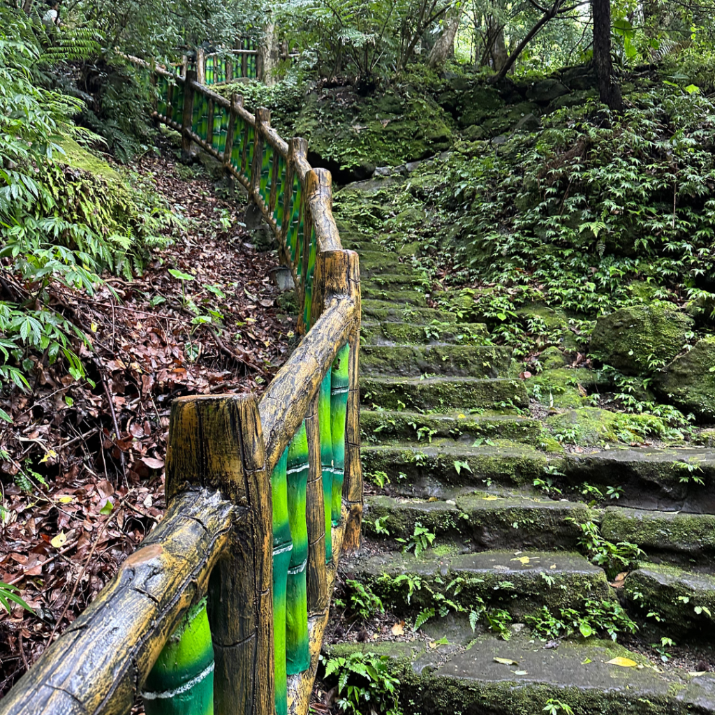 Stone steps surrounded by moss and trees in Yangmingshan National Park, captured during a quiet solo walk in nature.