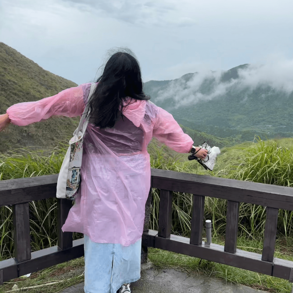 Captured during a rainy day trip to Yangmingshan National Park in Taipei, this photo reflects finding beauty and peace in nature despite the weather.